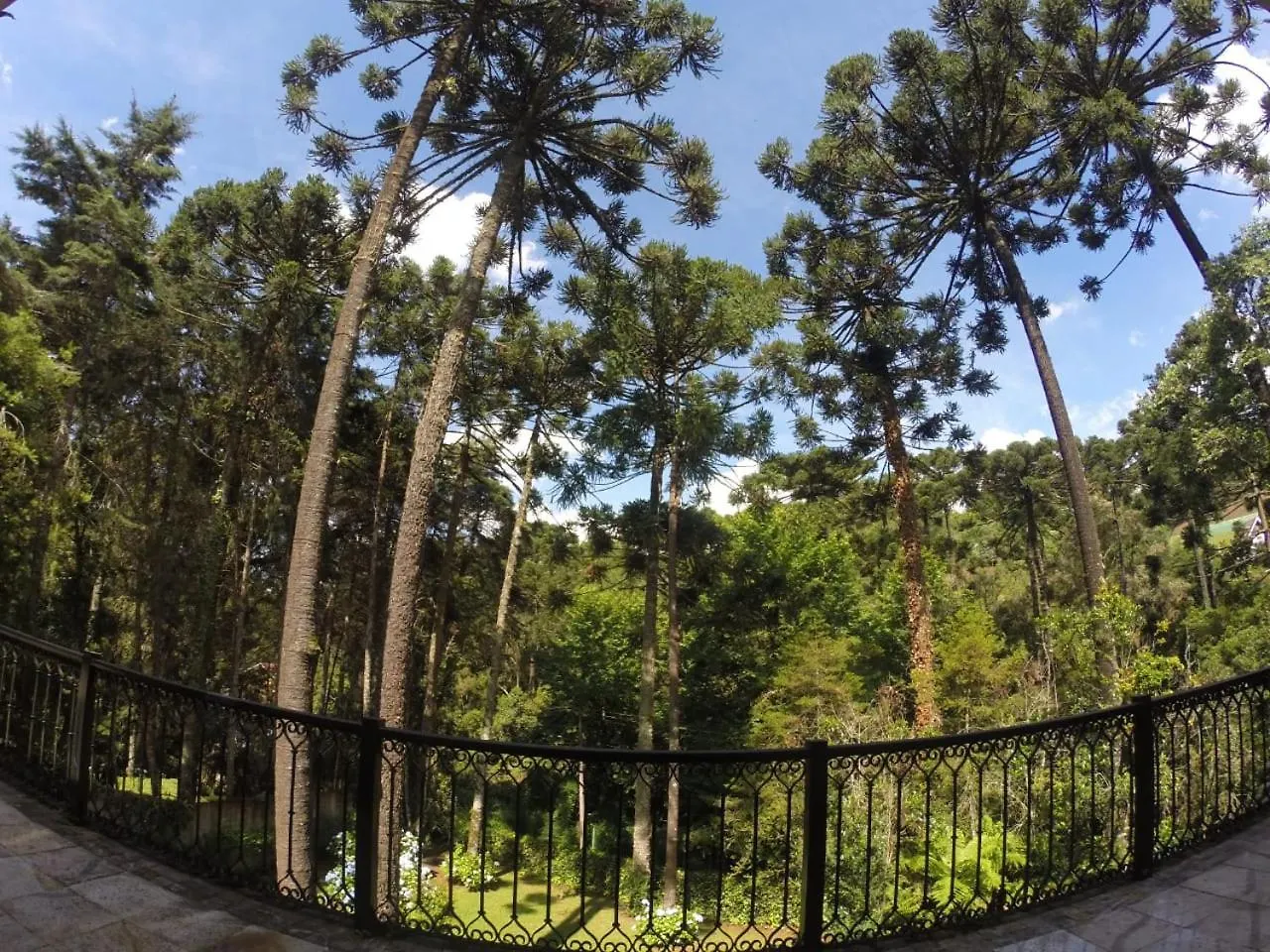Villa Vicenza Home Campos do Jordao Guest house